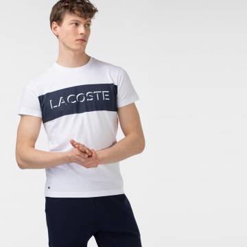 Lacoste футболка чоловіча Lacoste футболка чоловіча