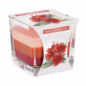 Ароматическая свеча Bispol Scented Candle Hibiskus-White Sage, 170 г (snk80-356) Ароматическая свеча Bispol Scented Candle Hibiskus-White Sage, 170 г (snk80-356)