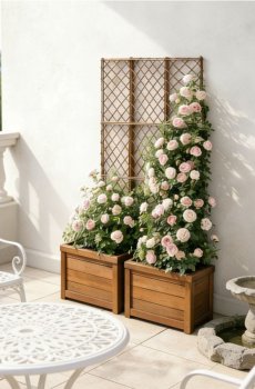 Пергола для саду для рослин-пліток - коричневувато-зелений