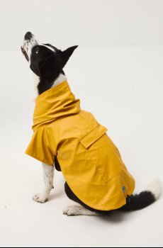 Куртка для питомца Medicine