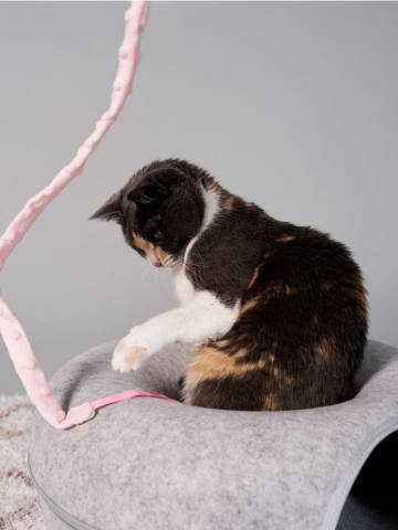 Котяча вудочка - пастельний рожевий Котяча вудочка - пастельний рожевий