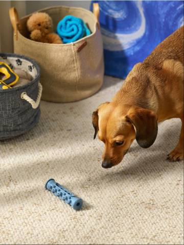 Іграшка для домашніх тварин - блакитний Іграшка для домашніх тварин - блакитний