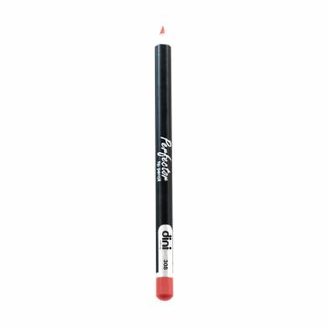 Карандаш для губ Dini Perfector Lip Pencil 308, 2 г Карандаш для губ Dini Perfector Lip Pencil 308, 2 г