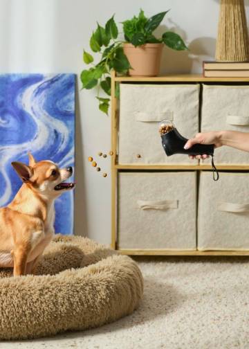 Запусковий пристрій для ласощів для тварин - сірий Запусковий пристрій для ласощів для тварин - сірий