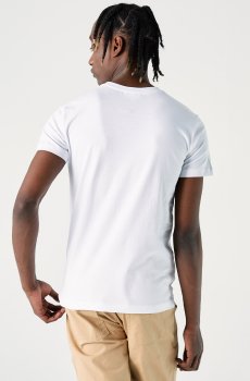 Lacoste футболка чоловіча