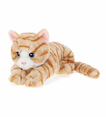 Мяка іграшка Keel Toys Keeleco Кошеня коричневе 22 см (EK2280/3) Мяка іграшка Keel Toys Keeleco Кошеня коричневе 22 см (EK2280/3)