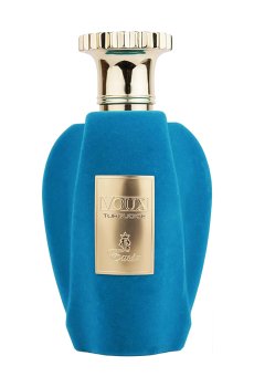 Paris Corner Voux Turquoise Emir Парфюмированная вода унисекс, 100 мл