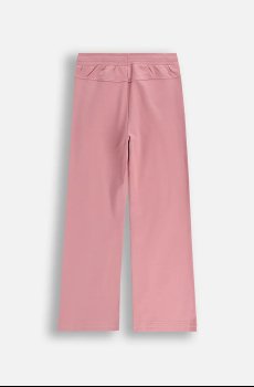 Детские спортивные штаны Coccodrillo