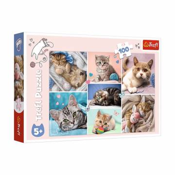Пазлы Trefl В кошачьем мире, от 5 лет, 100 элементов (16420)