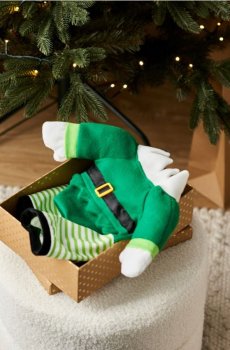 Костюм для собаки – Ельф - зелений