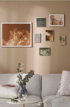 Набір рамок з графікою 7 pack - різнобарвний