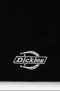 Шапка Dickies
