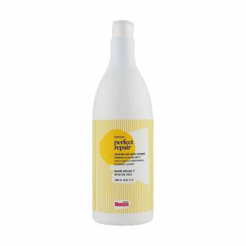 Восстанавливающий шампунь Glossco Professional Perfect Repair Shampoo для поврежденных волос, 1 л Восстанавливающий шампунь Glossco Professional Perfect Repair Shampoo для поврежденных волос, 1 л