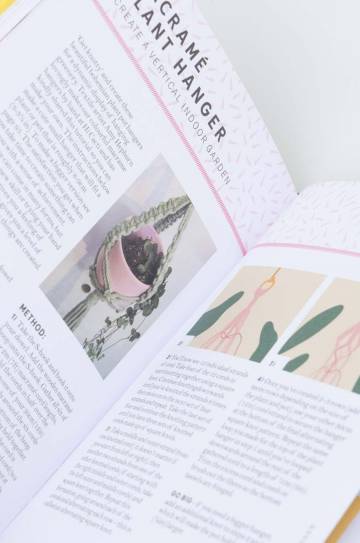 Книга Leaping Hare Hi Cacti Sabina Palermo Книга Leaping Hare Hi Cacti Sabina Palermo