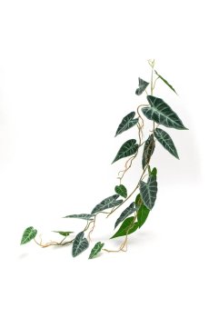 Искусственное растение home & lifestyle