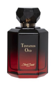 Diane Castel Tentation Oud Парфюмированная вода женская, 100 мл