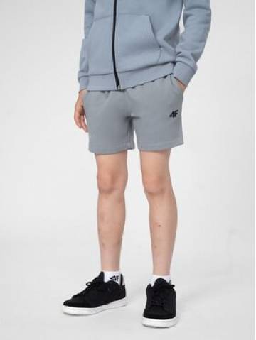 4F Спортивні шорти 4FJSS23TSHOM048 Блакитний Regular Fit 4F Спортивні шорти 4FJSS23TSHOM048 Блакитний Regular Fit