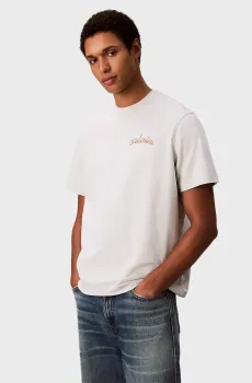 Мужская светло-серая футболка CHEST CHAIN STITCH Серый L Calvin Klein Jeans LV04RC226G