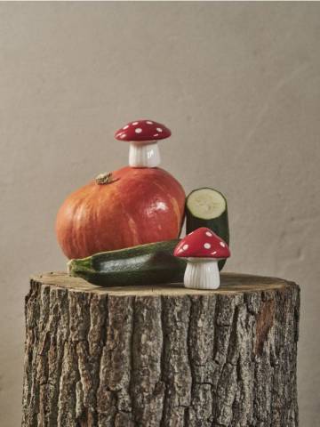 Сільничка і перечниця - різнобарвний