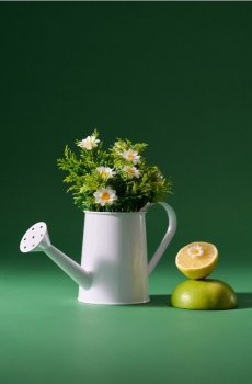 Букет декоративних ромашок у горщику у формі лійки - білий