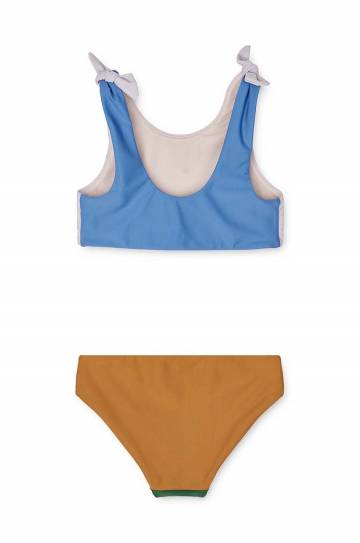 Детский раздельный купальник Liewood