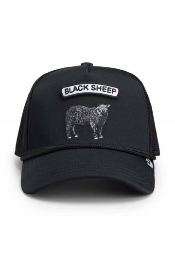 Кепка Goorin Bros GB2 Black Sheep цвет чёрный с аппликацией 101-1734 Кепка Goorin Bros GB2 Black Sheep цвет чёрный с аппликацией 101-1734