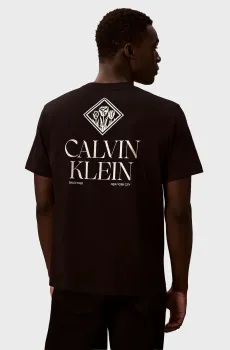 Мужская черная футболка ROSES GRAPHIC Черный L Calvin Klein Jeans LV14RE801G
