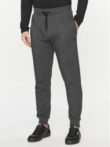 4F Спортивні штани 4FAW23TTROM452 Сірий Regular Fit 4F Спортивні штани 4FAW23TTROM452 Сірий Regular Fit