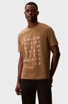 Мужская коричневая футболка LIGHTS Коричневый XXL Calvin Klein Jeans LV04RF814G