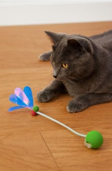 Іграшка для котів - різнобарвний