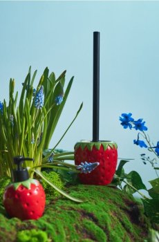 Туалетна щітка з мотивом полуниці - червоний