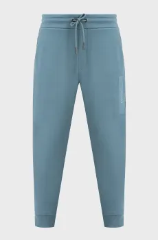 Мужские синие спортивные брюки STRUCTURED EMBROIDERY Синий S Calvin Klein K10K113838