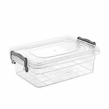 Контейнер Violet House Family Box с крышкой, 650 мл (0458)