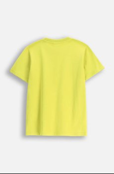 Детская хлопковая футболка Coccodrillo