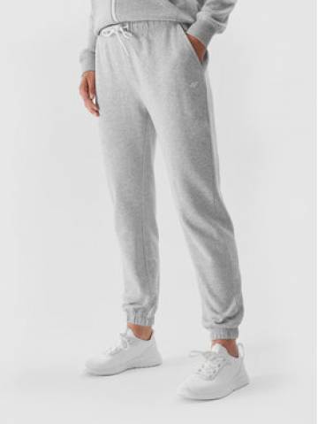 4F Спортивні штани 4FAW23TTROF475 Сірий Regular Fit 4F Спортивні штани 4FAW23TTROF475 Сірий Regular Fit