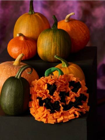 Нюхальний килимок - помаранчевий