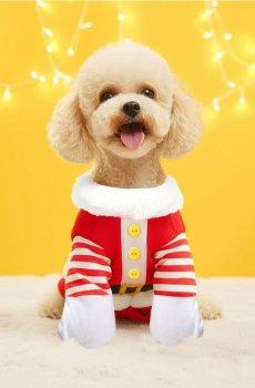 Одяг для собаки з мотивом Санта-Клауса - червоний
