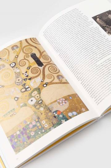 Книга Taschen GmbH Klimt - Basic Art Series by Gilles Néret, English Книга Taschen GmbH Klimt - Basic Art Series by Gilles Néret, English
