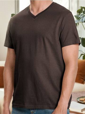Футболка basic з V-подібним викотом - пильно-коричневий