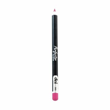 Карандаш для губ Dini Perfector Lip Pencil 303, 2 г Карандаш для губ Dini Perfector Lip Pencil 303, 2 г