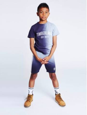 Timberland Футболка T25T96 S Cиній Regular Fit Timberland Футболка T25T96 S Cиній Regular Fit
