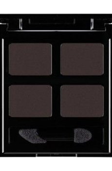 Магнитный футляр для теней на 4 деления с аппликатором Pierre Rene, 1 шт