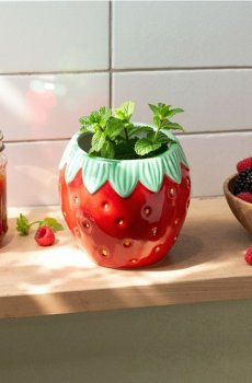 Горщик для квітів - червоний