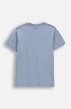 Детская хлопковая футболка Coccodrillo