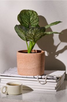 Штучна декоративна рослина Alocasia у горщику - зелений