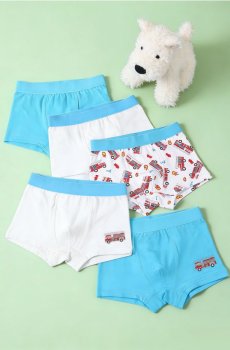 Бавовняні боксерки, набір з 5 штук - різнобарвний