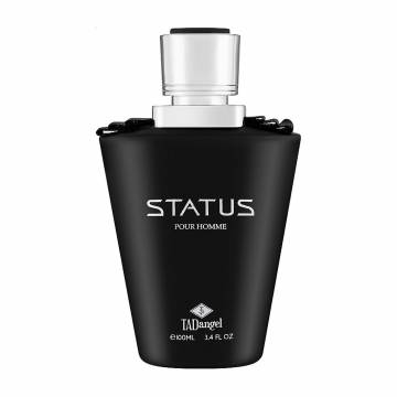 Tad Angel Status Pour Homme Парфюмированная вода мужская, 100 мл Tad Angel Status Pour Homme Парфюмированная вода мужская, 100 мл