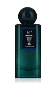 The City Spirit Nature Deep Aqua Туалетная вода мужская, 100 мл