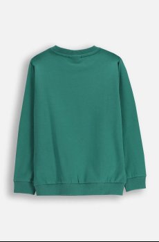 Детская хлопковая кофта Coccodrillo