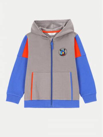 Coccodrillo Світшот ZC4132602FBK Кольоровий Regular Fit Coccodrillo Світшот ZC4132602FBK Кольоровий Regular Fit